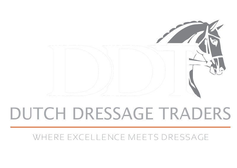 Dutch Dressage Traders 